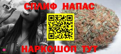 винт Будённовск